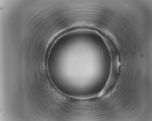 X0000073730880200608101927