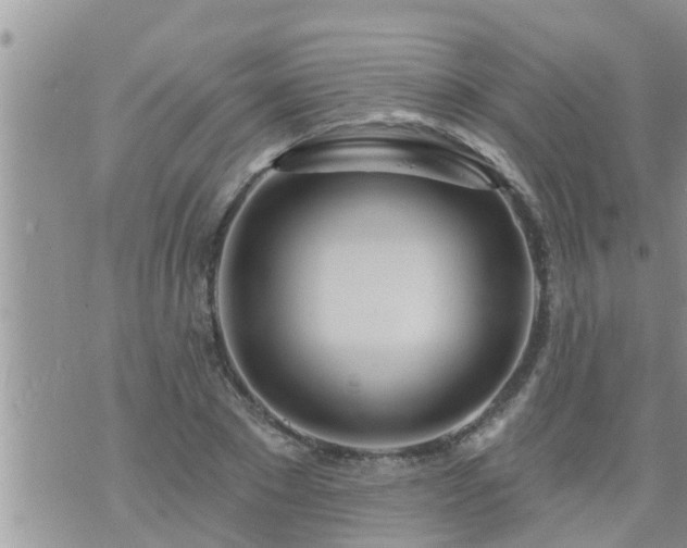 X0000073730881200608101927