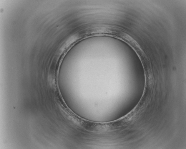 X0000073730882200608101927