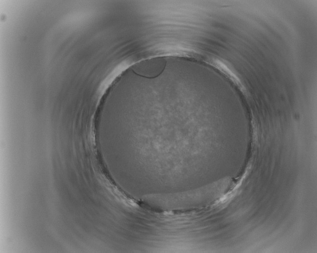 X0000073730883200608101927