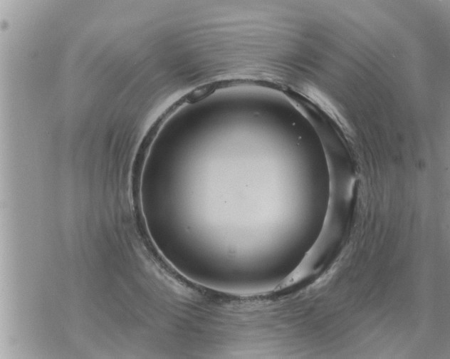 X0000073730884200608101927