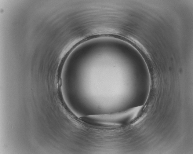 X0000073730885200608101927