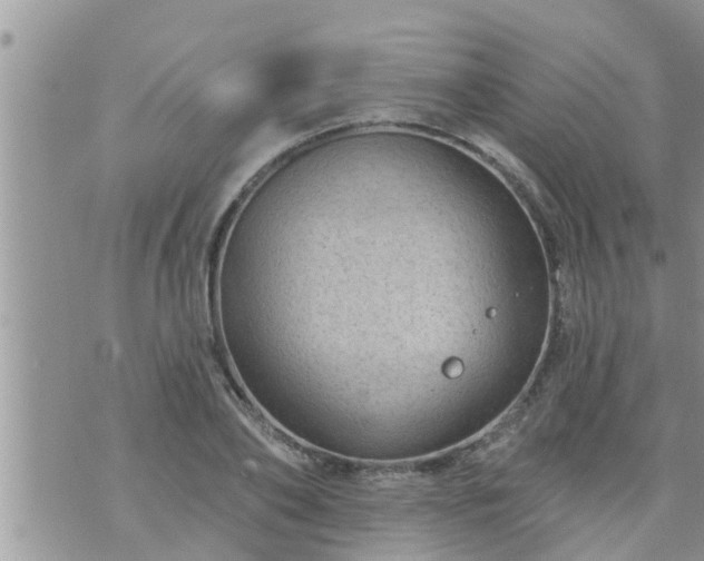 X0000073730886200608101927