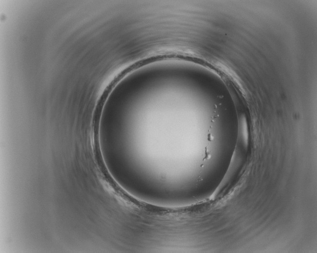 X0000073730888200608101927