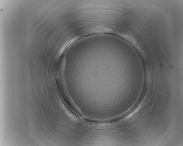 X0000073730889200608101927