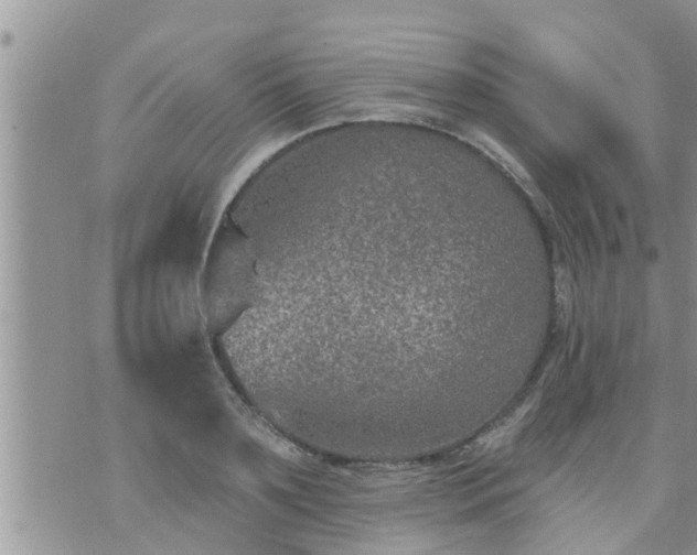 X0000073730891200608101927