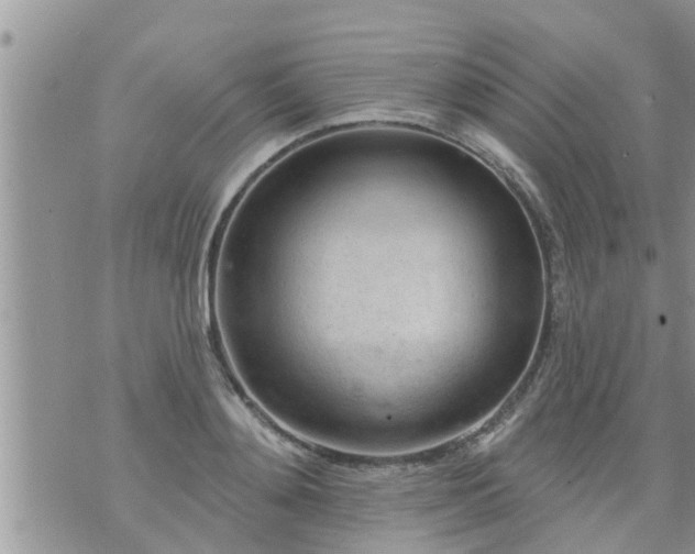 X0000073730892200608101927