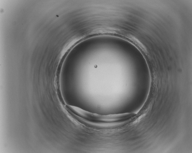 X0000073730893200608101927