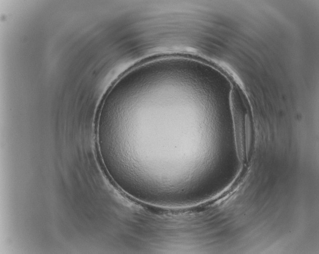 X0000073730895200608101927