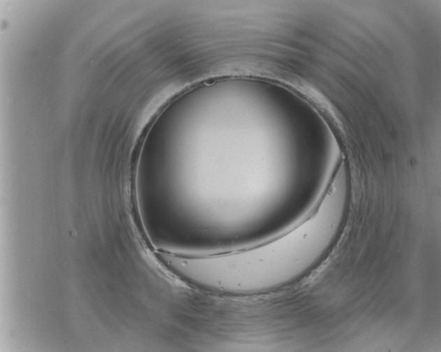 X0000073730896200608101927