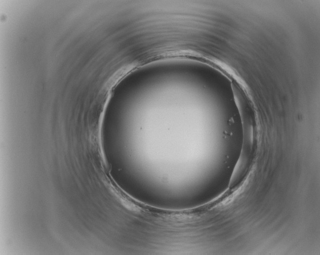 X0000073730897200608101927