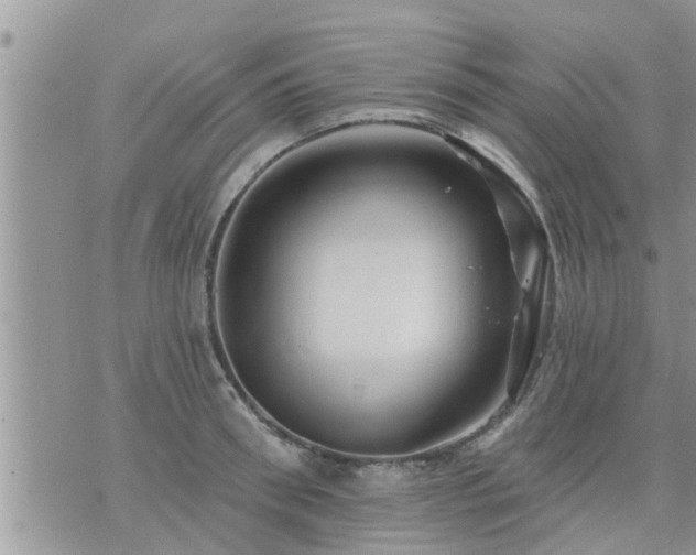 X0000073730898200608101927