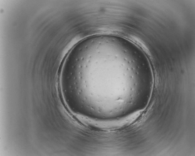 X0000073730899200608101927