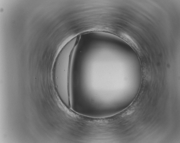 X0000073730900200608101927