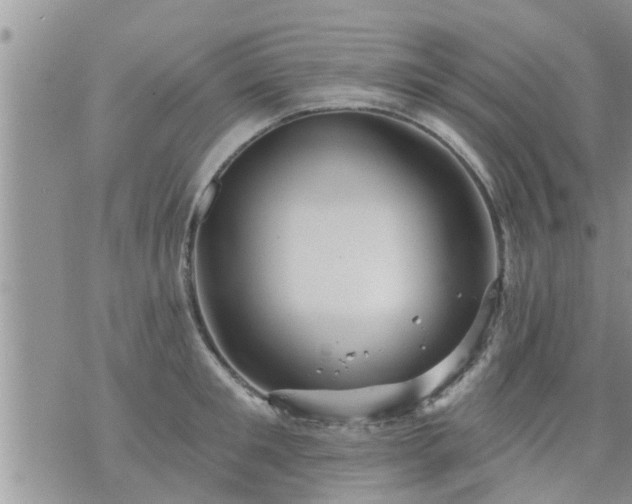 X0000073730901200608101927