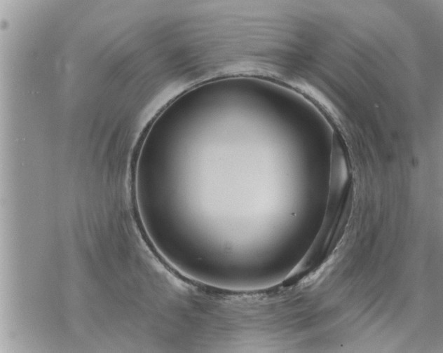 X0000073730902200608101927