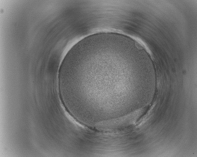 X0000073730903200608101927