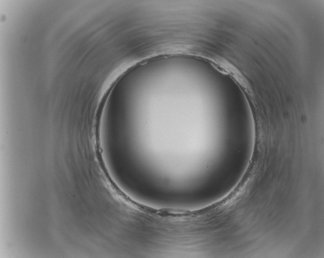 X0000073730904200608101927