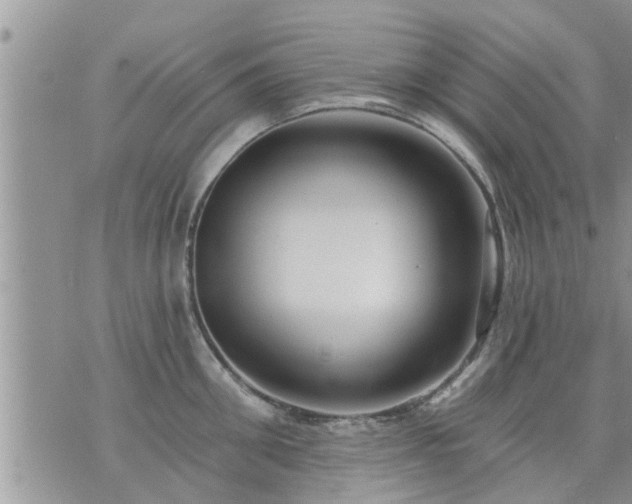 X0000073730906200608101927