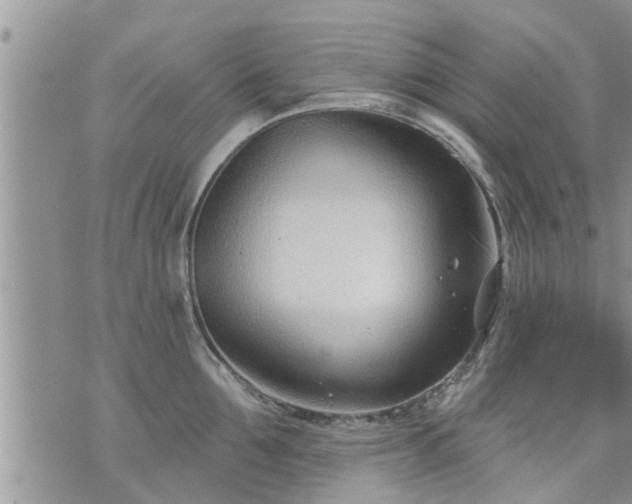 X0000073730907200608101927