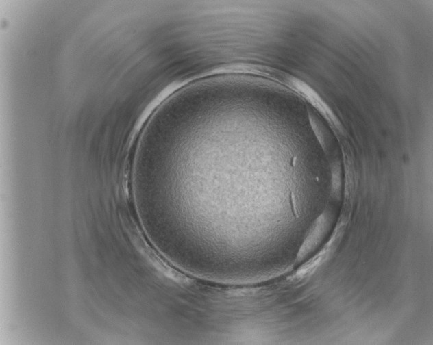 X0000073730908200608101927