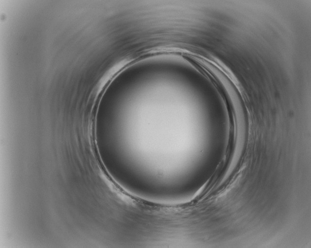 X0000073730909200608101926