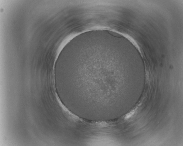 X0000073730911200608101926