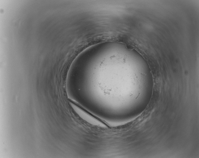 X0000073730913200608101926