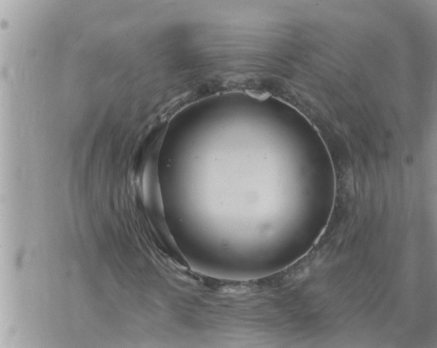 X0000073730914200608101926