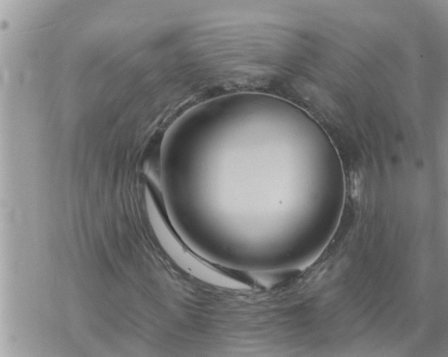 X0000073730915200608101926