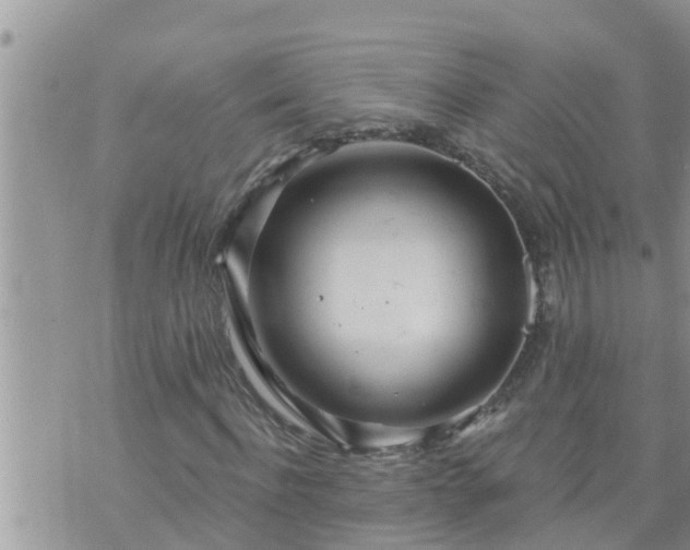 X0000073730916200608101926