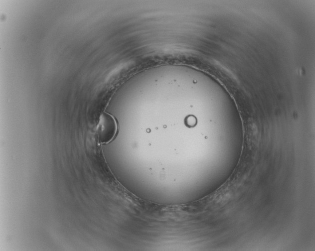 X0000073730918200608101926