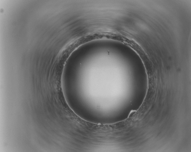 X0000073730919200608101926