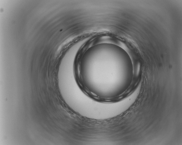 X0000073730920200608101926