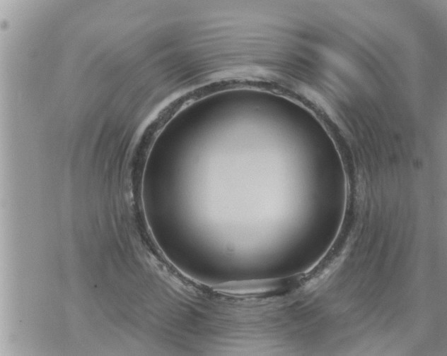 X0000073730923200608101926