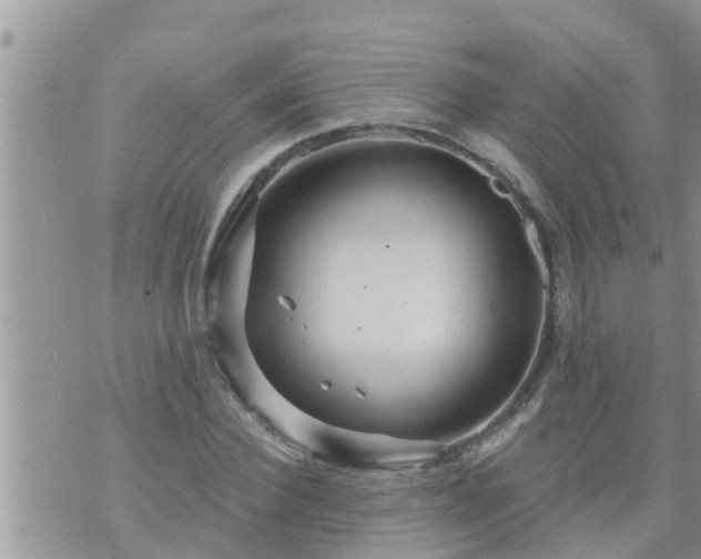 X0000073730924200608101926