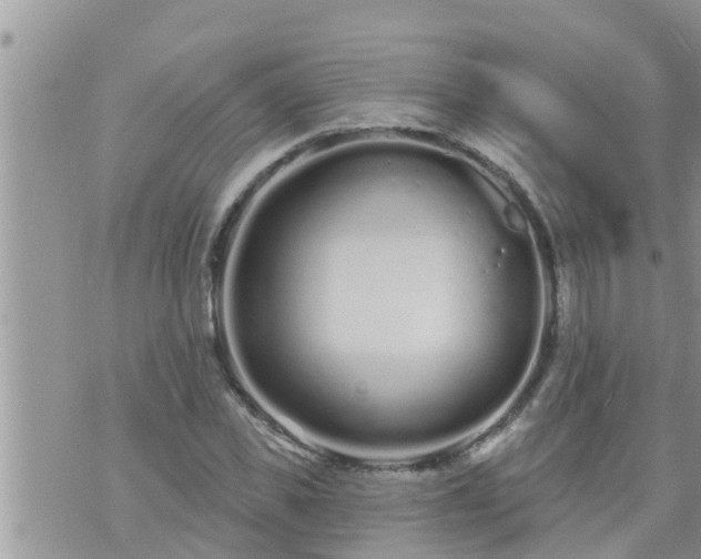 X0000073730925200608101926