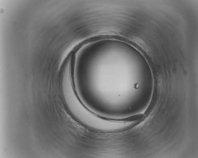 X0000073730926200608101926