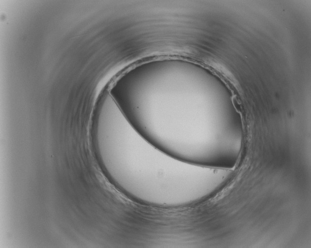 X0000073730928200608101926