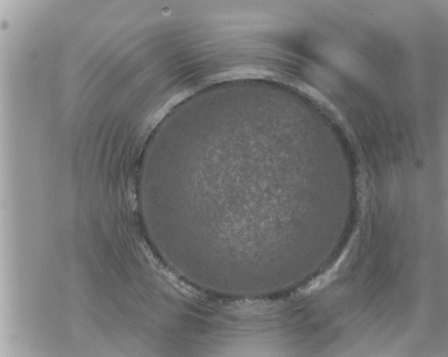 X0000073730929200608101926