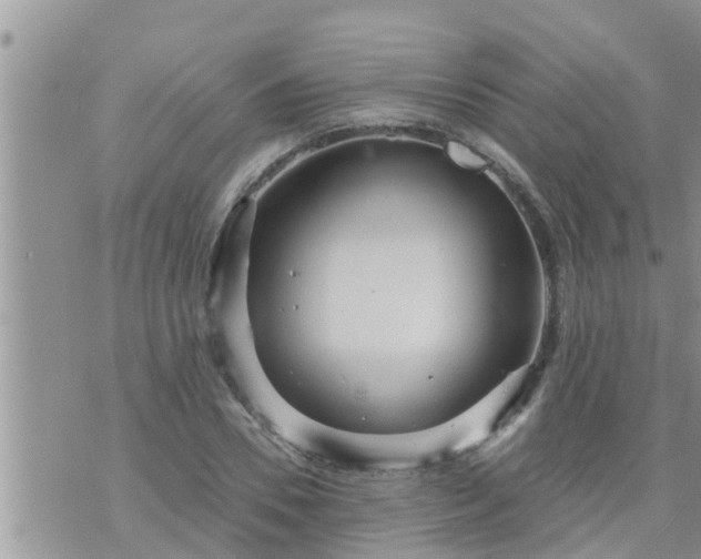 X0000073730930200608101926