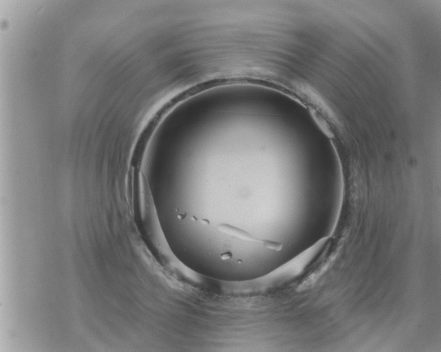 X0000073730932200608101926