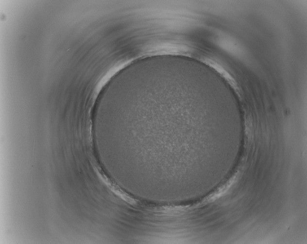 X0000073730933200608101926