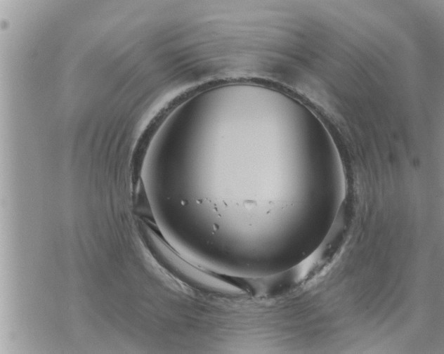 X0000073730934200608101926