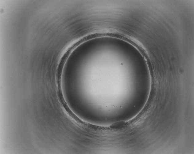 X0000073730935200608101926