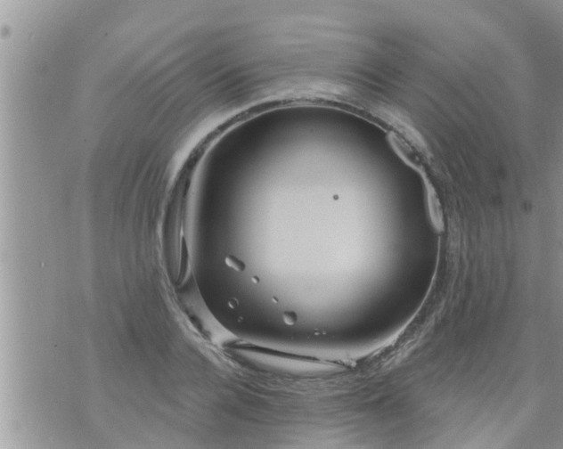 X0000073730936200608101926