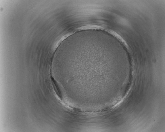 X0000073730937200608101926