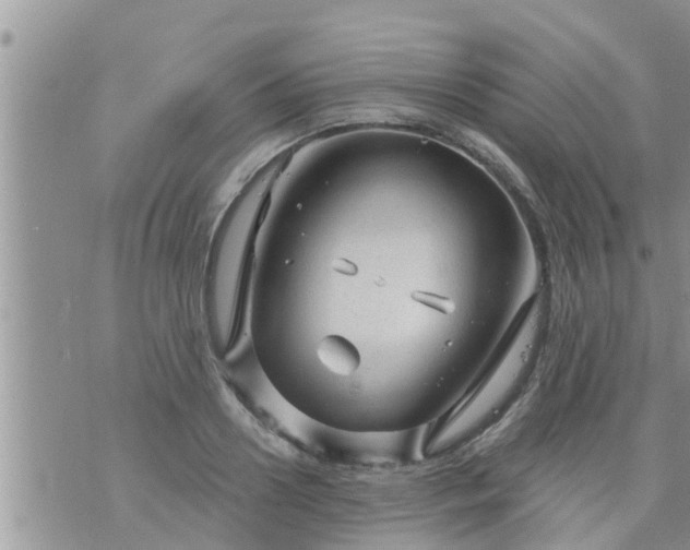 X0000073730938200608101926