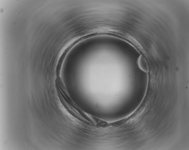 X0000073730939200608101926