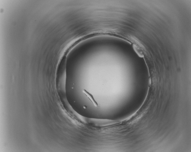 X0000073730940200608101926